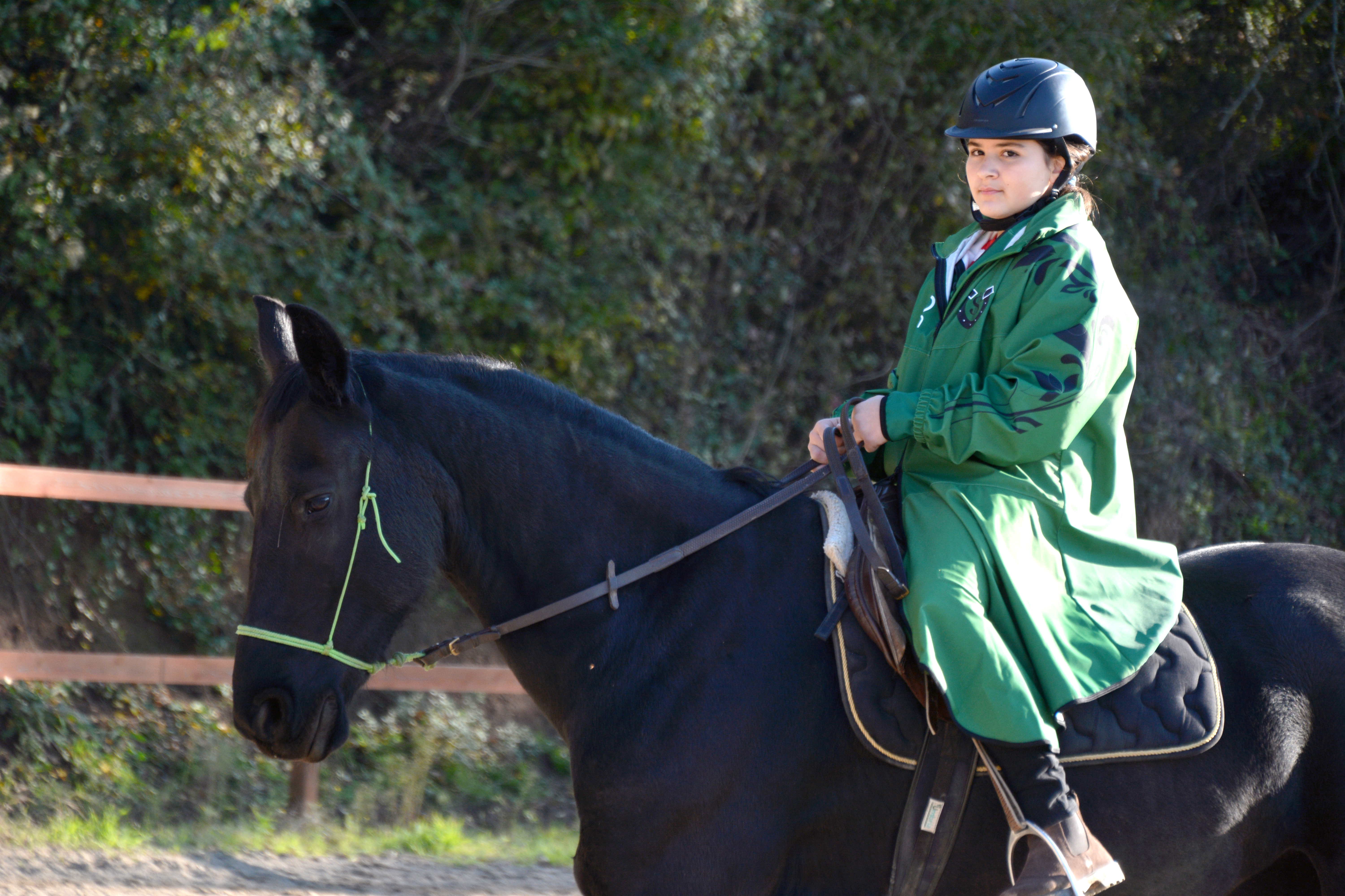 OONhorse-4